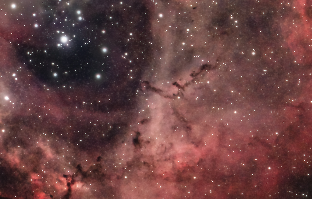 NGC2244_panther.jpg