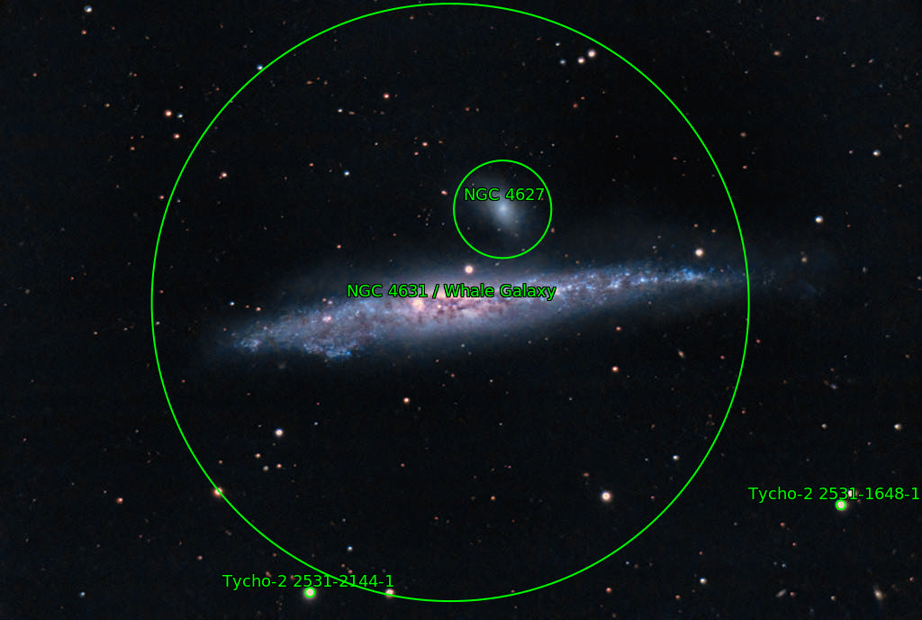 NGC4631ANT.jpg