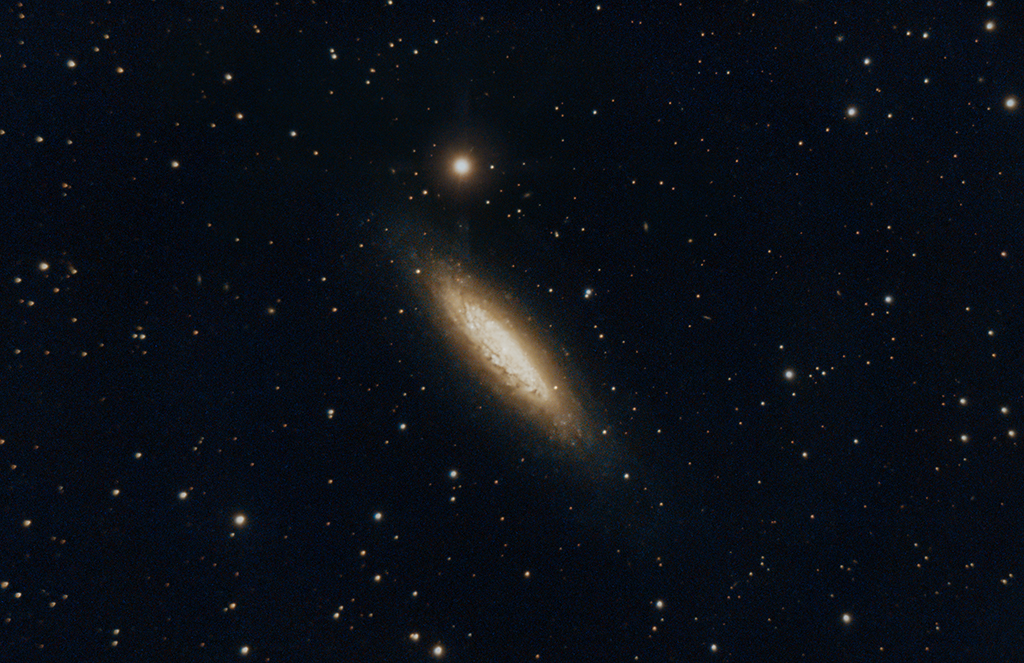 NGC6503_14072023.jpg