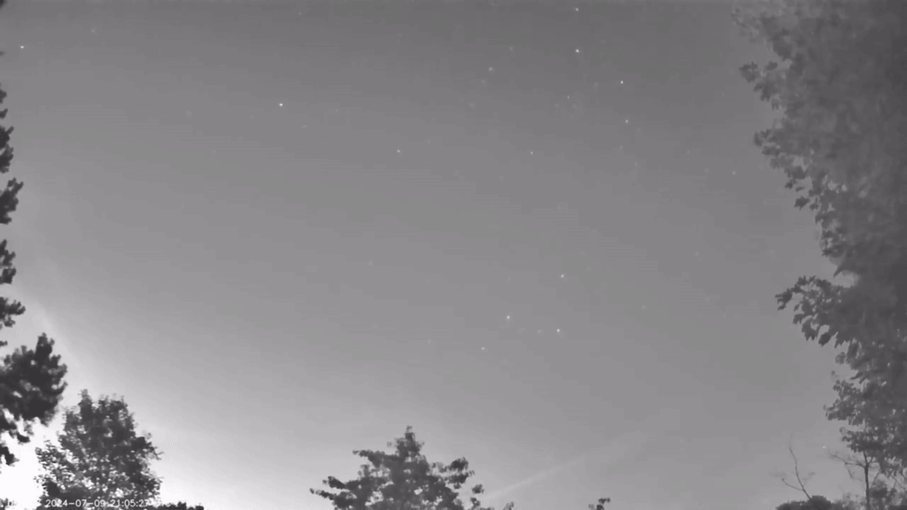 henning_ariane.gif